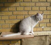 Nyder solskinnet
