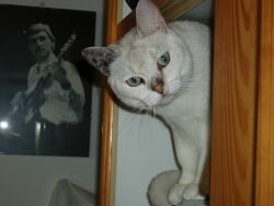 In the closet